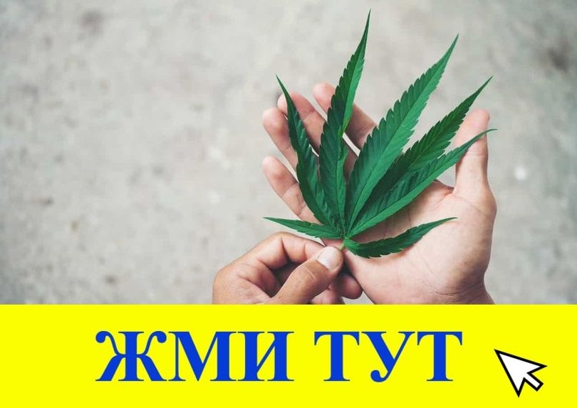 Купить наркотики в Кушве